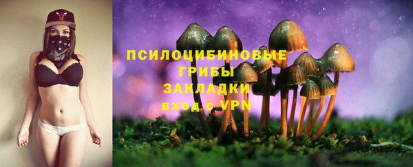 ПСИЛОЦИБИНОВЫЕ ГРИБЫ Медвежьегорск