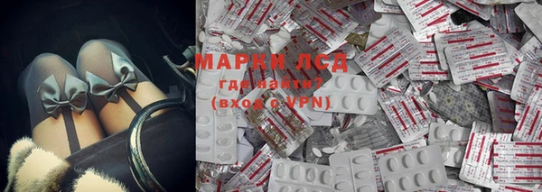 ПСИЛОЦИБИНОВЫЕ ГРИБЫ Медвежьегорск