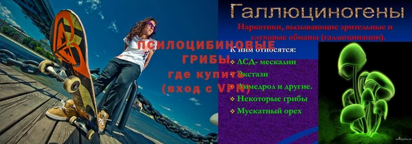 дмт Дмитров