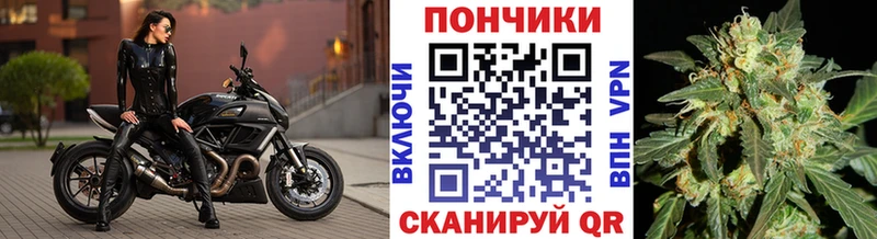 Конопля SATIVA & INDICA  Енисейск 